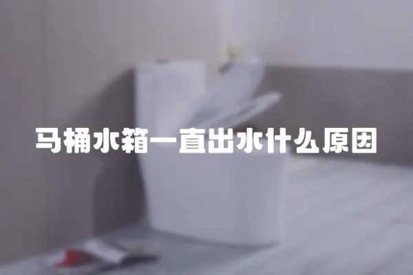 馬桶水箱一直出水什么原因