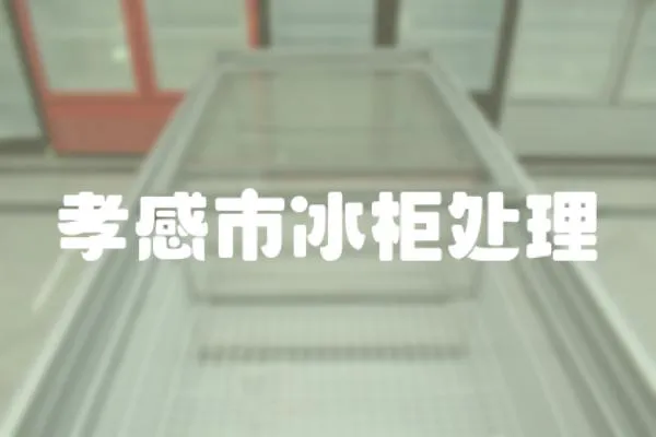 孝感市冰柜處理