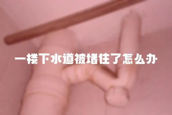 一樓下水道被堵住了怎么辦