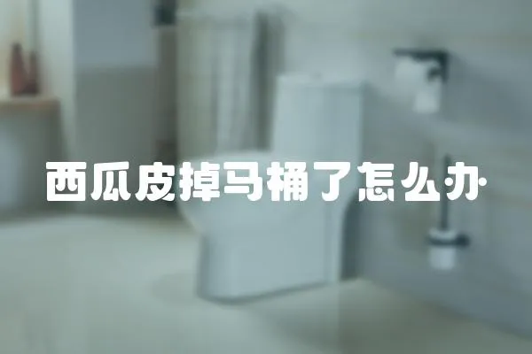 西瓜皮掉馬桶了怎么辦