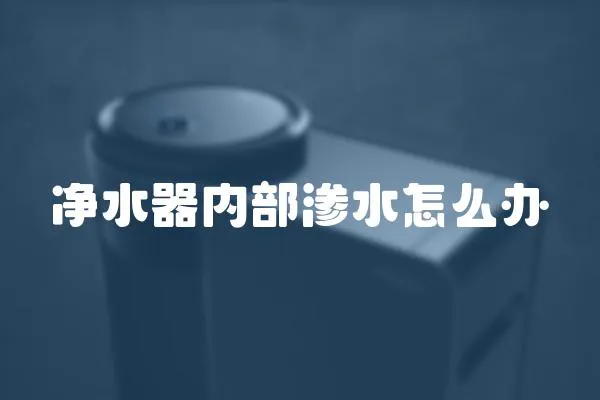 凈水器內(nèi)部滲水怎么辦