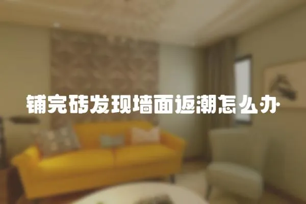 鋪完磚發現墻面返潮怎么辦