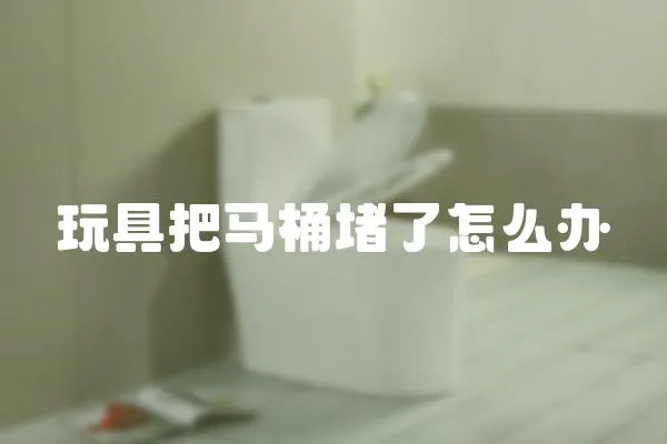 玩具把馬桶堵了怎么辦