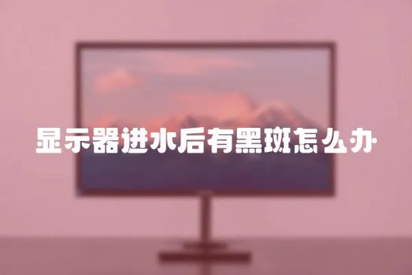 顯示器進水后有黑斑怎么辦