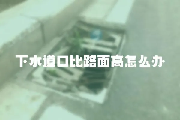 下水道口比路面高怎么辦