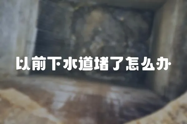 以前下水道堵了怎么辦