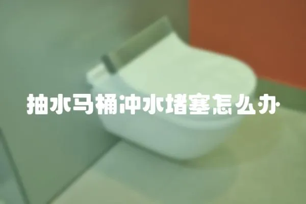 抽水馬桶沖水堵塞怎么辦