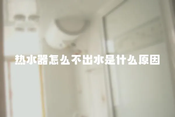 熱水器怎么不出水是什么原因