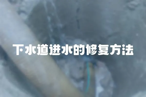 下水道進水的修復(fù)方法