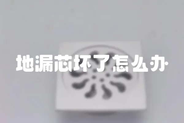 地漏芯壞了怎么辦