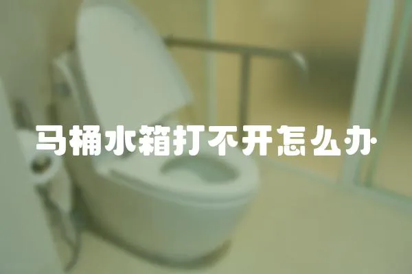馬桶水箱打不開怎么辦