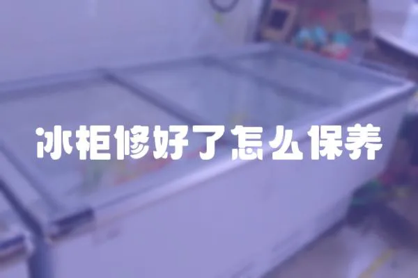 冰柜修好了怎么保養