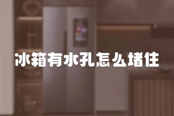 冰箱有水孔怎么堵住