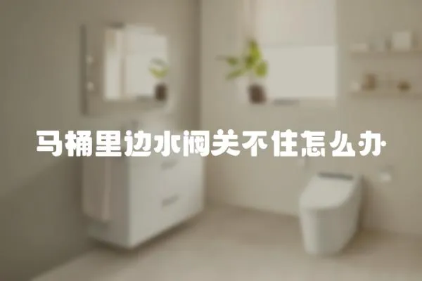 馬桶里邊水閥關不住怎么辦