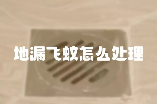 地漏飛蚊怎么處理