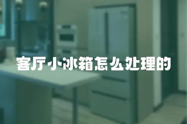 客廳小冰箱怎么處理的
