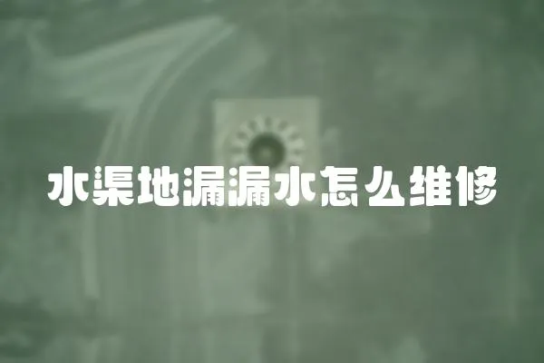 水渠地漏漏水怎么維修