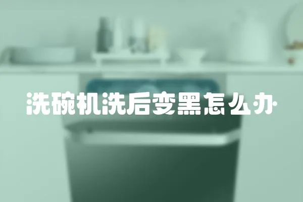 洗碗機洗后變黑怎么辦