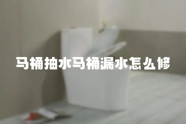 馬桶抽水馬桶漏水怎么修