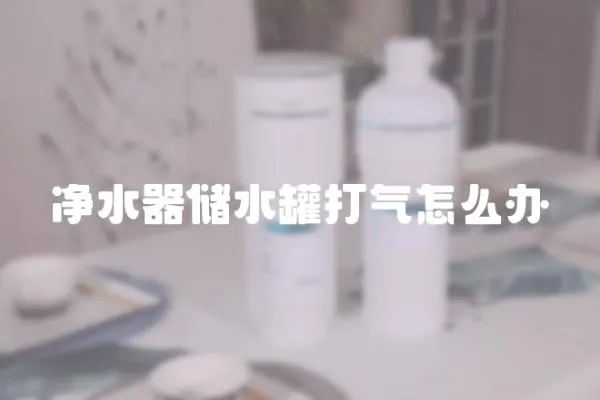 凈水器儲水罐打氣怎么辦