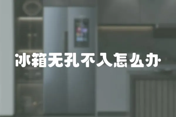 冰箱無(wú)孔不入怎么辦