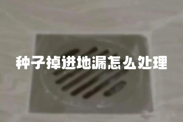 種子掉進地漏怎么處理