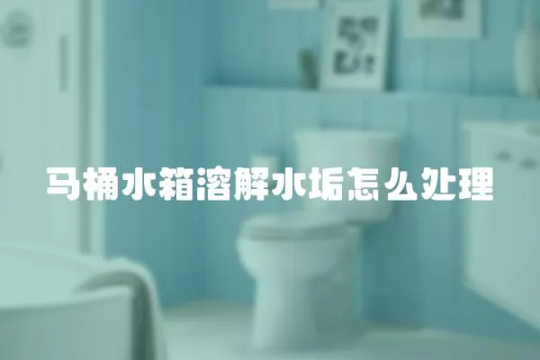 馬桶水箱溶解水垢怎么處理