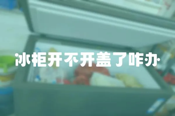冰柜開不開蓋了咋辦
