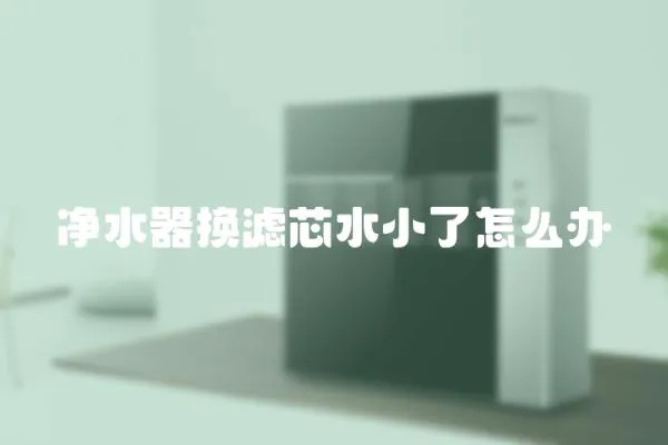 凈水器換濾芯水小了怎么辦