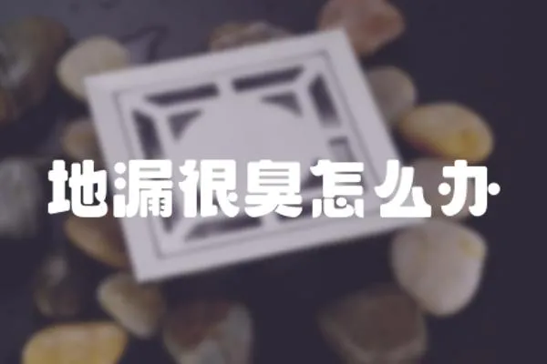 地漏很臭怎么辦