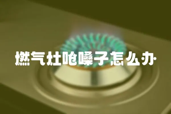 燃?xì)庠顔苌ぷ釉趺崔k