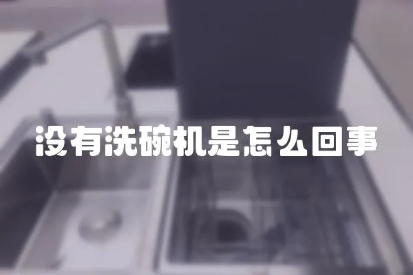 沒有洗碗機是怎么回事