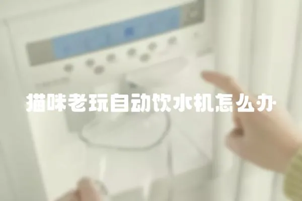 貓咪老玩自動飲水機怎么辦