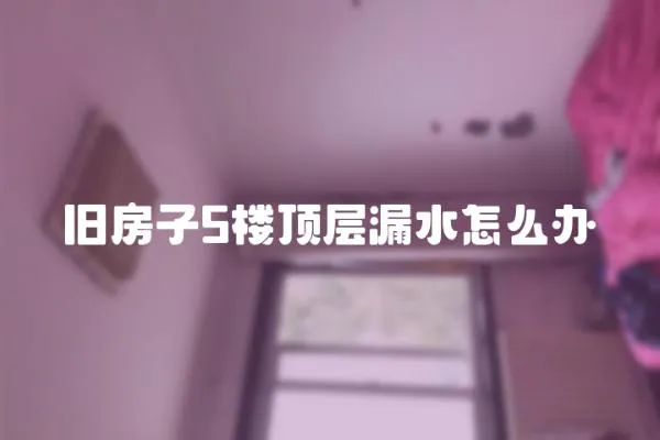 舊房子5樓頂層漏水怎么辦