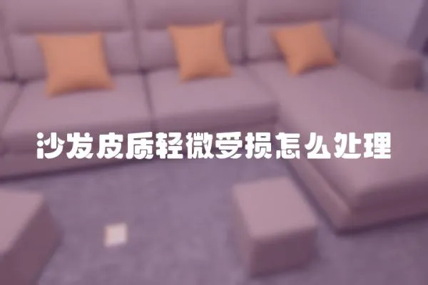 沙發(fā)皮質(zhì)輕微受損怎么處理