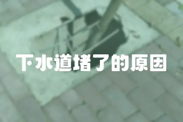 下水道堵了的原因