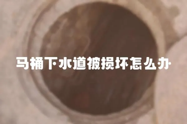 馬桶下水道被損壞怎么辦