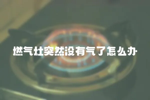 燃氣灶突然沒有氣了怎么辦