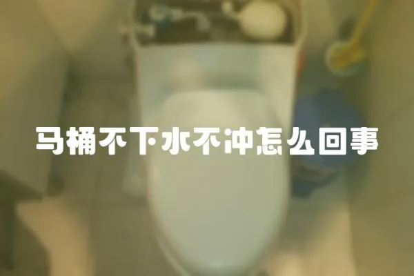 馬桶不下水不沖怎么回事