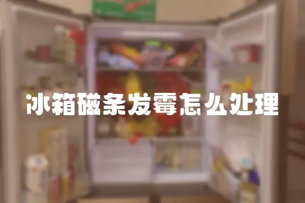 冰箱磁條發霉怎么處理