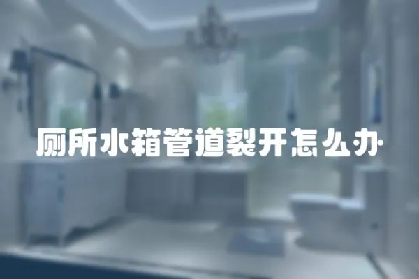 廁所水箱管道裂開怎么辦