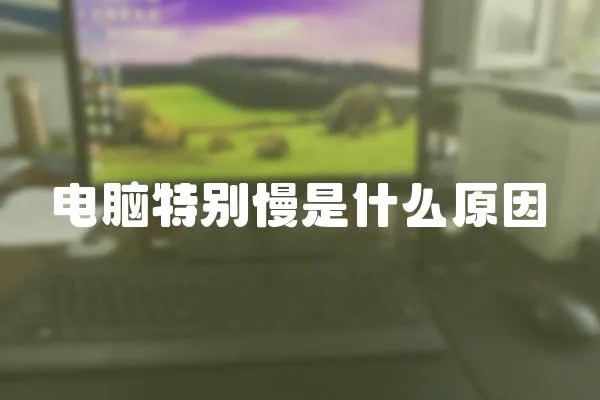 電腦特別慢是什么原因