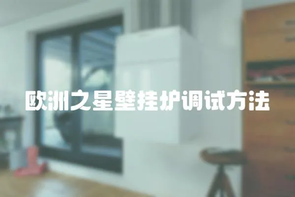 歐洲之星壁掛爐調試方法