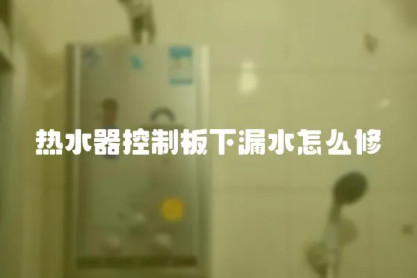 熱水器控制板下漏水怎么修