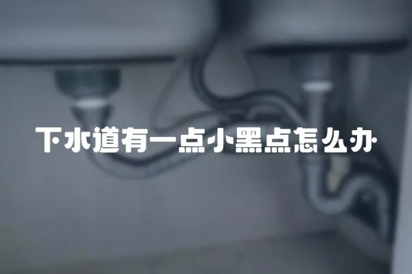 下水道有一點小黑點怎么辦