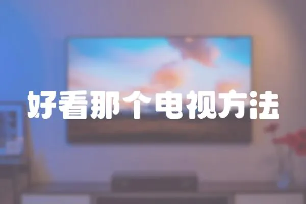 好看那個電視方法