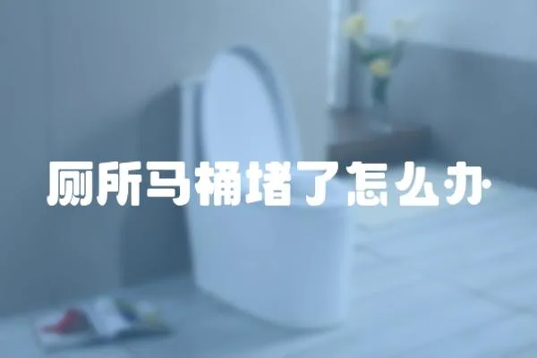 廁所馬桶堵了怎么辦
