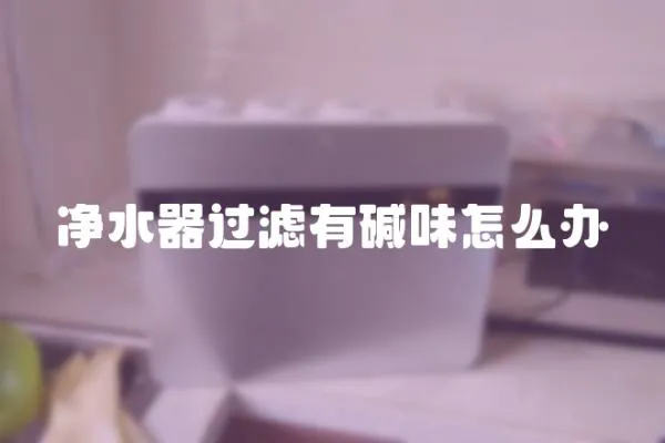 凈水器過濾有堿味怎么辦