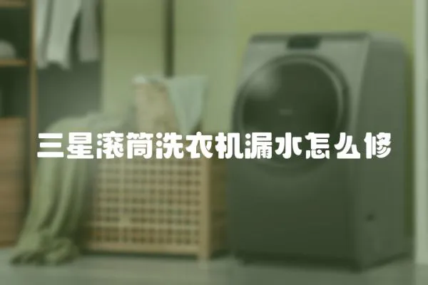 三星滾筒洗衣機(jī)漏水怎么修