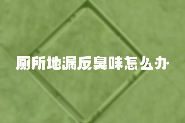 廁所地漏反臭味怎么辦